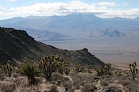 IMG_4015