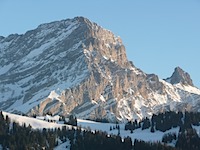 P1020776